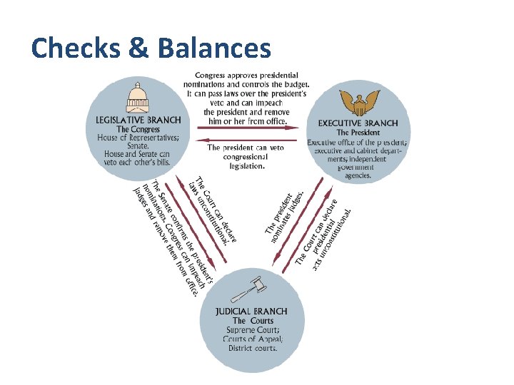 Checks & Balances 
