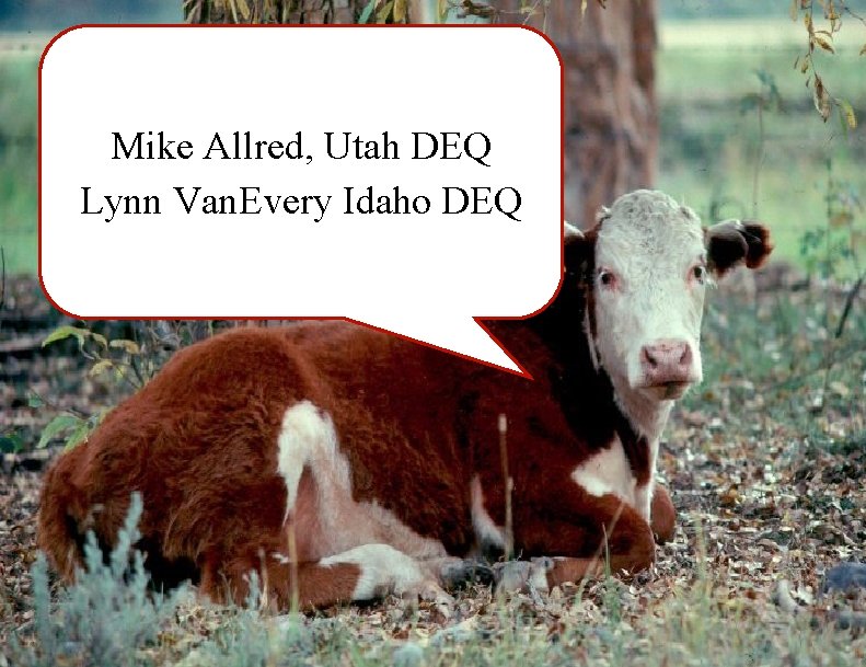 Mike Allred, Utah DEQ Lynn Van. Every Idaho DEQ 