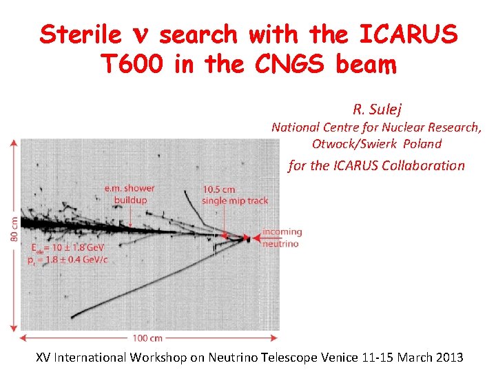 Sterile n search with the ICARUS T 600 in the CNGS beam R. Sulej