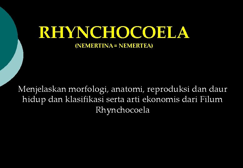 RHYNCHOCOELA (NEMERTINA = NEMERTEA) Menjelaskan morfologi, anatomi, reproduksi dan daur hidup dan klasifikasi serta
