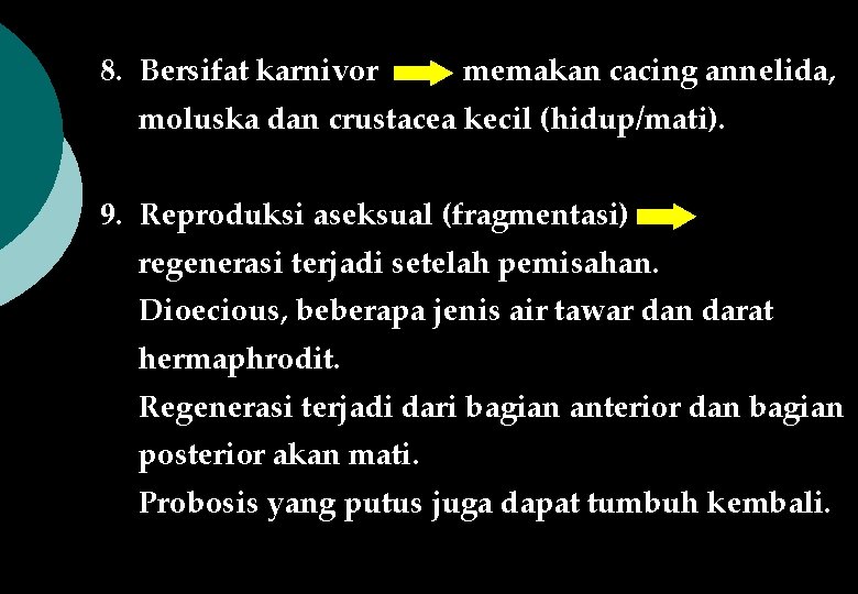 8. Bersifat karnivor memakan cacing annelida, moluska dan crustacea kecil (hidup/mati). 9. Reproduksi aseksual