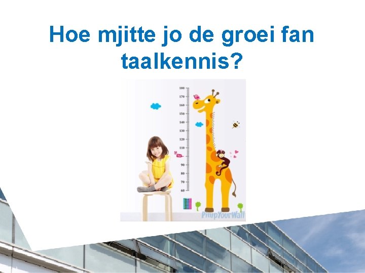 Hoe mjitte jo de groei fan taalkennis? 