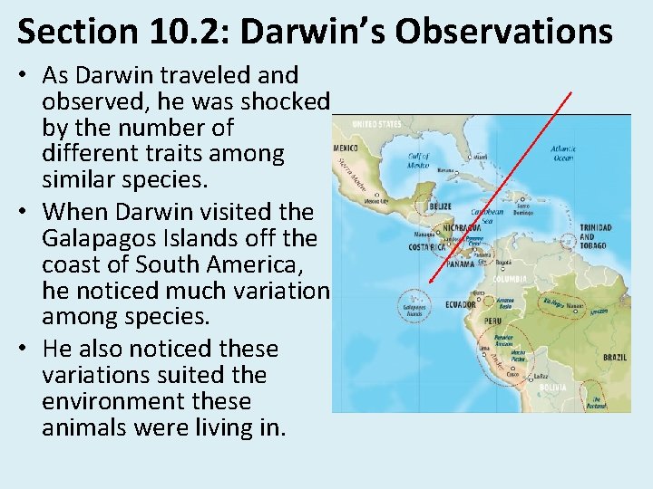 Section 10. 2: Darwin’s Observations • As Darwin traveled and observed, he was shocked Section 10. 2: Darwin’s Observations • As Darwin traveled and observed, he was shocked