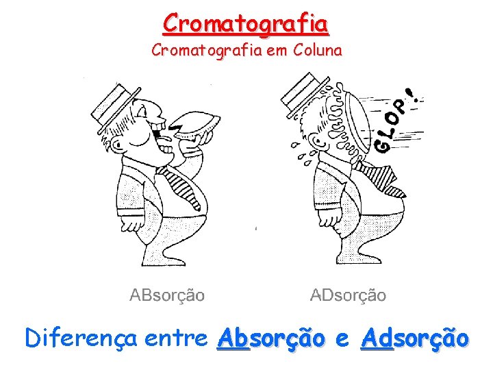 Cromatografia em Coluna Diferença entre Absorção e Adsorção 