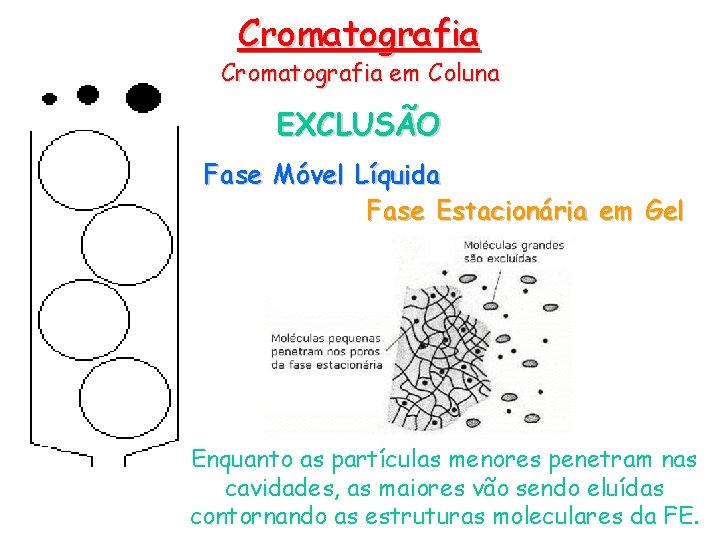 Cromatografia em Coluna EXCLUSÃO Fase Móvel Líquida Fase Estacionária em Gel Enquanto as partículas
