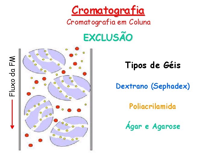 Cromatografia em Coluna Fluxo da FM EXCLUSÃO Tipos de Géis Dextrano (Sephadex) Poliacrilamida Ágar