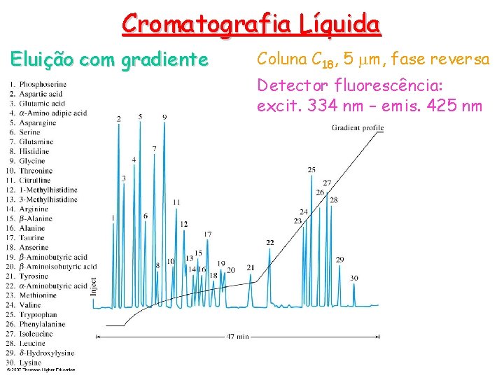 Cromatografia Líquida Eluição com gradiente Coluna C 18, 5 m, fase reversa Detector fluorescência: