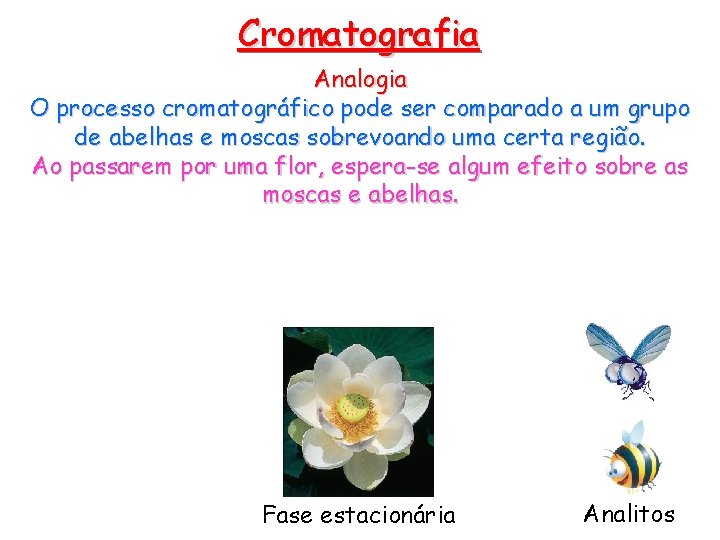 Cromatografia Analogia O processo cromatográfico pode ser comparado a um grupo de abelhas e