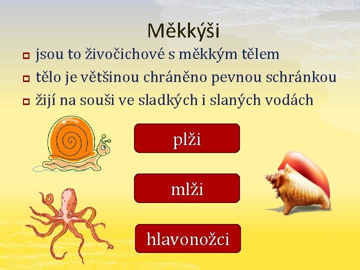 Měkkýši p p p jsou to živočichové s měkkým tělem tělo je většinou chráněno