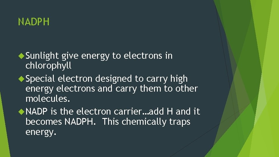 NADPH Sunlight give energy to electrons in chlorophyll Special electron designed to carry high NADPH Sunlight give energy to electrons in chlorophyll Special electron designed to carry high