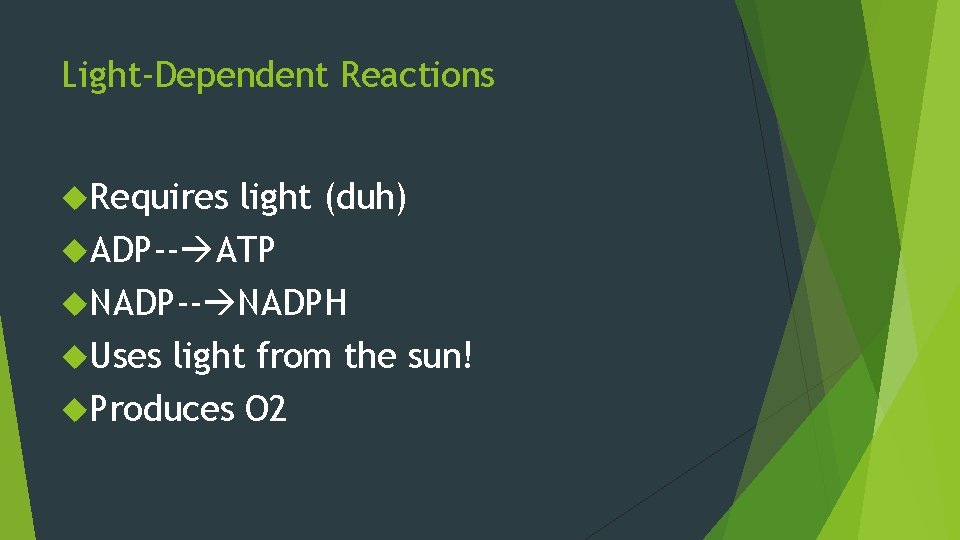 Light-Dependent Reactions Requires light (duh) ADP-- ATP NADP-- NADPH Uses light from the sun! Light-Dependent Reactions Requires light (duh) ADP-- ATP NADP-- NADPH Uses light from the sun!