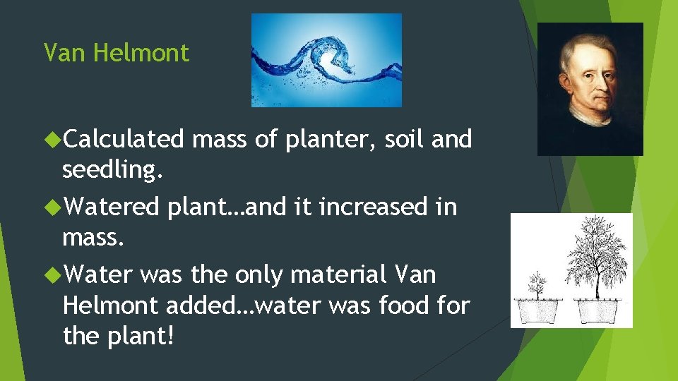 Van Helmont Calculated mass of planter, soil and seedling. Watered plant…and it increased in Van Helmont Calculated mass of planter, soil and seedling. Watered plant…and it increased in