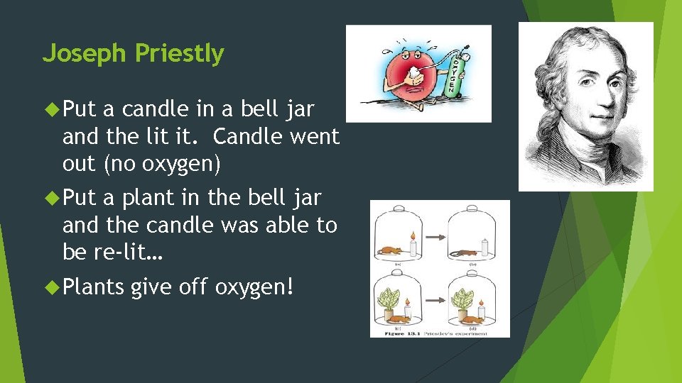 Joseph Priestly Put a candle in a bell jar and the lit it. Candle Joseph Priestly Put a candle in a bell jar and the lit it. Candle