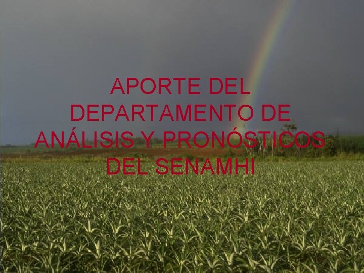 APORTE DEL DEPARTAMENTO DE ANÁLISIS Y PRONÓSTICOS DEL SENAMHI 