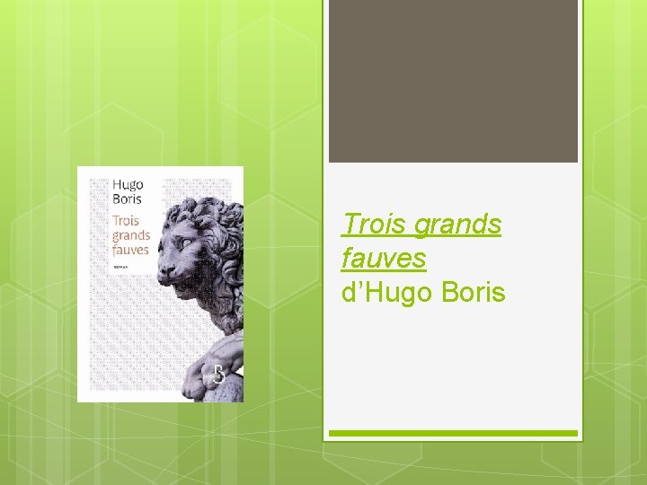 Trois grands fauves d’Hugo Boris 