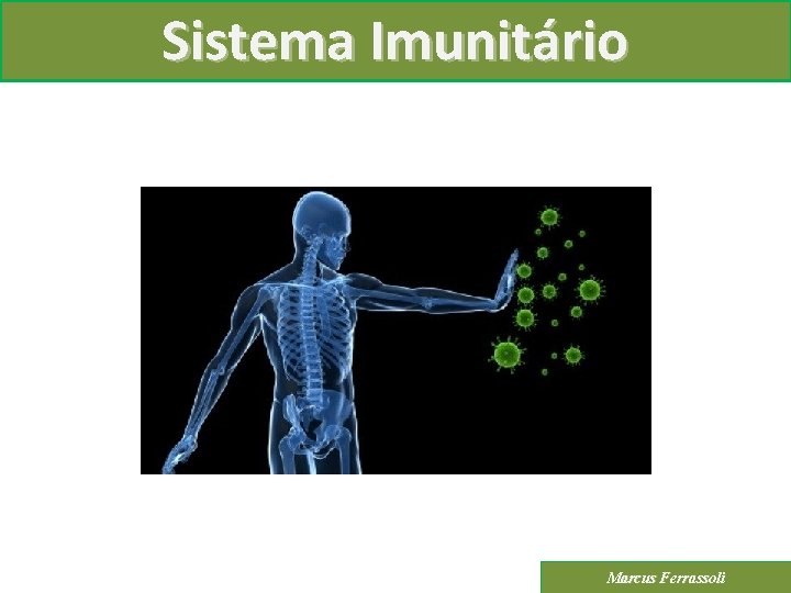 Sistema Imunitário Marcus Ferrassoli 