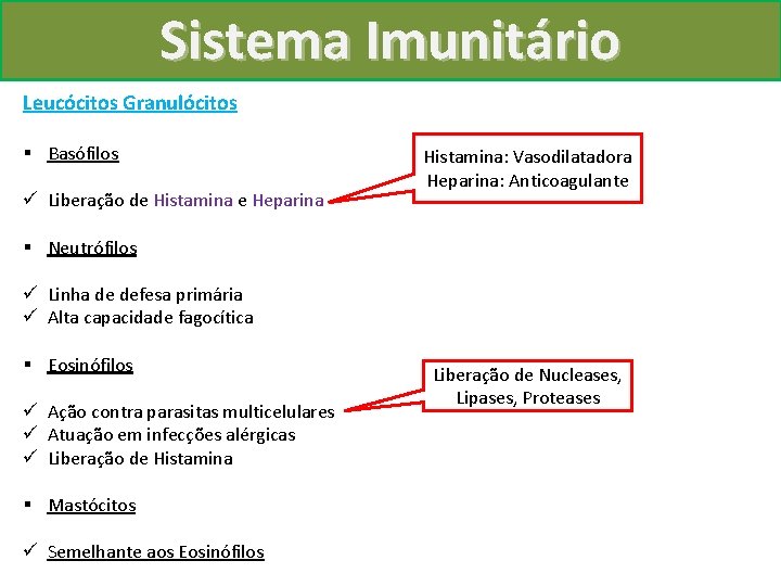 Sistema Imunitário Leucócitos Granulócitos § Basófilos ü Liberação de Histamina e Heparina Histamina: Vasodilatadora