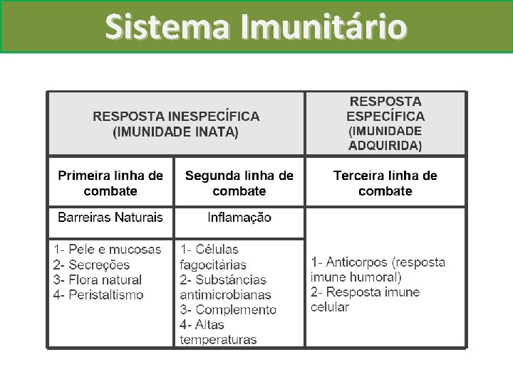 Sistema Imunitário 