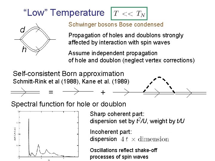 “Low” Temperature Schwinger bosons Bose condensed d Propagation of holes and doublons strongly affected