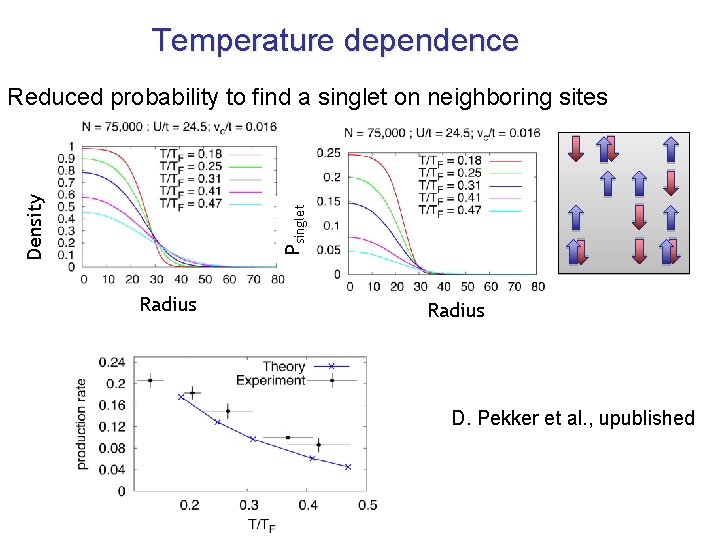 Temperature dependence Psinglet Density Reduced probability to find a singlet on neighboring sites Radius
