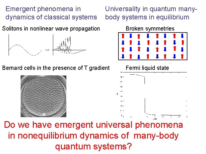 Emergent phenomena in dynamics of classical systems Universality in quantum manybody systems in equilibrium