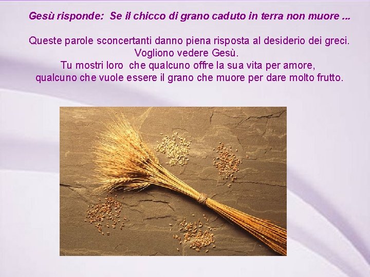 Gesù risponde: Se il chicco di grano caduto in terra non muore. . .