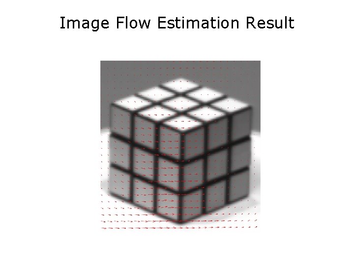Image Flow Estimation Result 