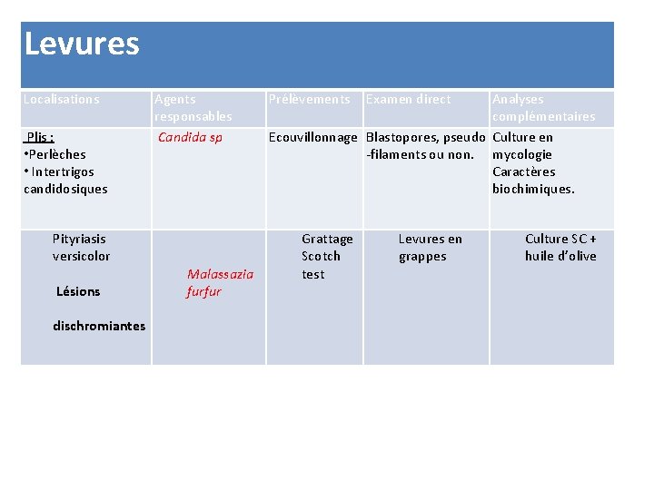 Levures Localisations Plis : • Perlèches • Intertrigos candidosiques Pityriasis versicolor Lésions dischromiantes Agents