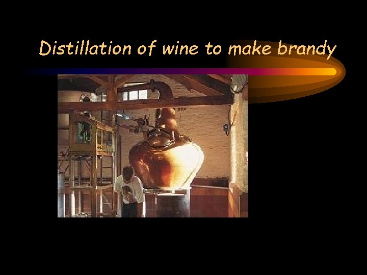 Distillation of wine to make brandy Distillation of wine to make brandy