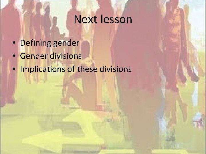 Next lesson • Defining gender • Gender divisions • Implications of these divisions 