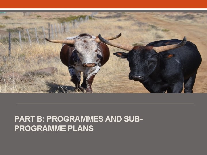 PART B: PROGRAMMES AND SUBPROGRAMME PLANS 