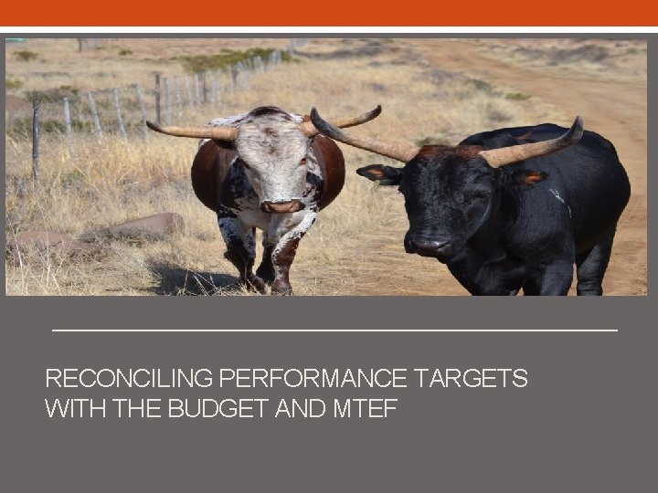 RECONCILING PERFORMANCE TARGETS WITH THE BUDGET AND MTEF 