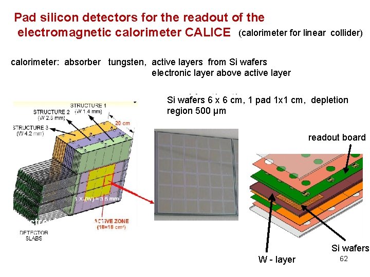 Pad silicon detectors for the readout of the electromagnetic calorimeter CALICE (calorimeter for linear