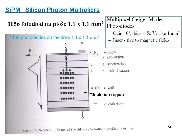 Si. PM Silicon Photon Multipliers depletion region J. Žáček Experimentální metody jaderné a subjaderné