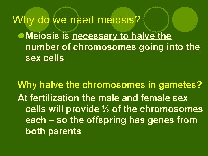 Why do we need meiosis? l Meiosis is necessary to halve the number of