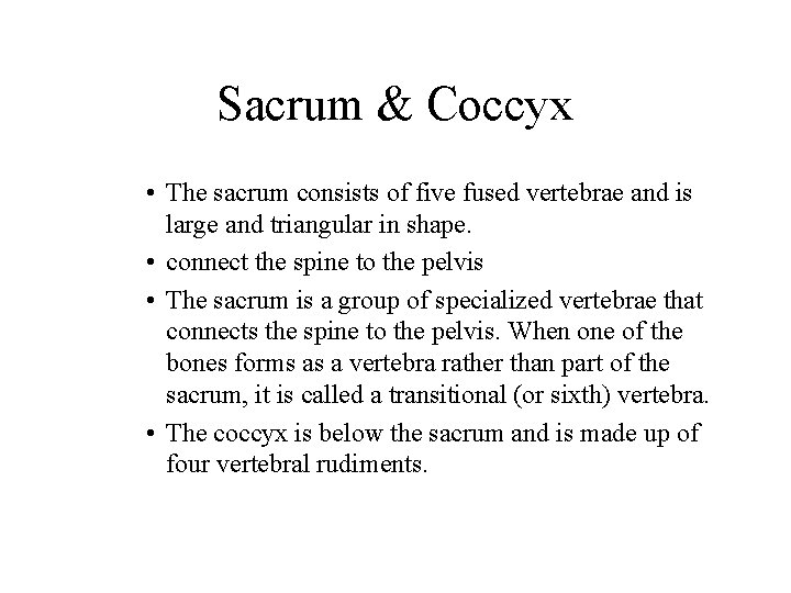 Sacrum & Coccyx • The sacrum consists of five fused vertebrae and is large