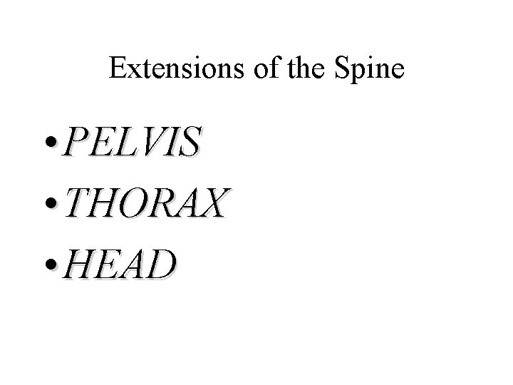 Extensions of the Spine • PELVIS • THORAX • HEAD 