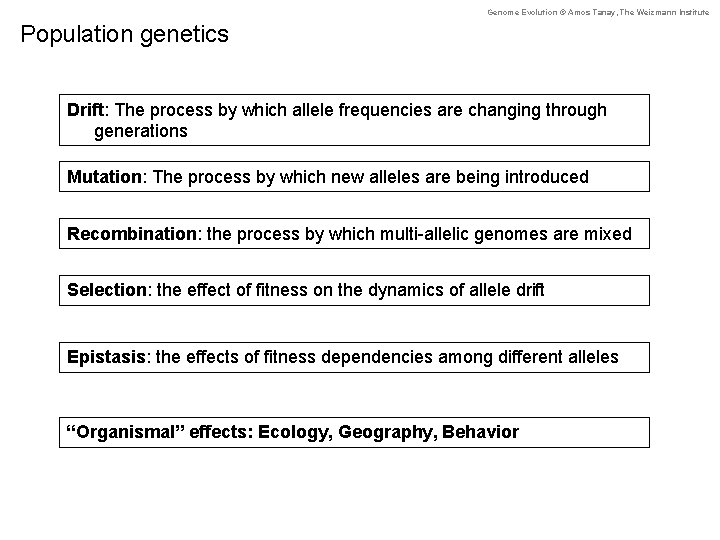 Genome Evolution © Amos Tanay, The Weizmann Institute Population genetics Drift: The process by