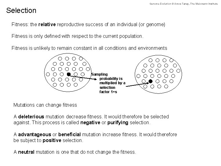 Genome Evolution © Amos Tanay, The Weizmann Institute Selection Fitness: the relative reproductive success