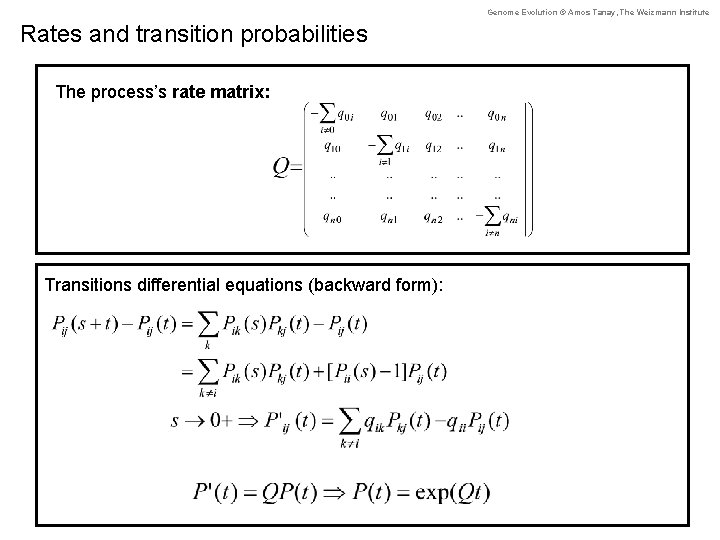 Genome Evolution © Amos Tanay, The Weizmann Institute Rates and transition probabilities The process’s