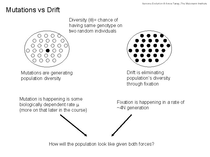 Genome Evolution © Amos Tanay, The Weizmann Institute Mutations vs Drift Diversity (q)= chance