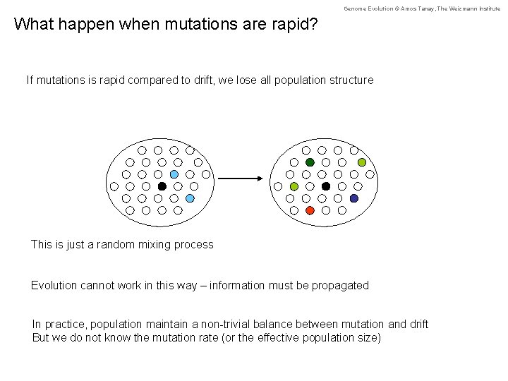 Genome Evolution © Amos Tanay, The Weizmann Institute What happen when mutations are rapid?