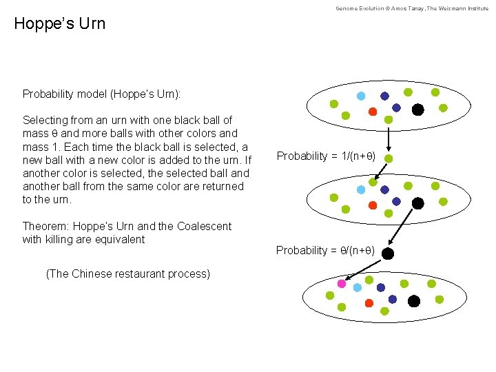 Genome Evolution © Amos Tanay, The Weizmann Institute Hoppe’s Urn Probability model (Hoppe’s Urn):