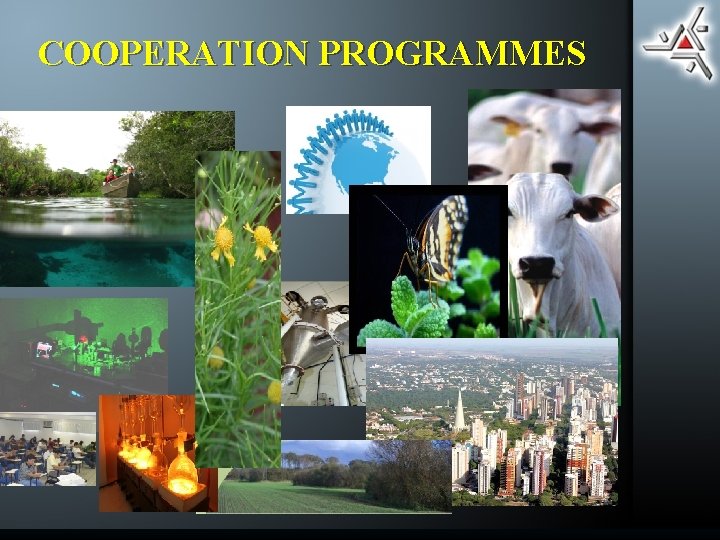 COOPERATION PROGRAMMES 