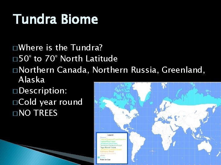 Tundra Biome � Where is the Tundra? � 50° to 70° North Latitude �