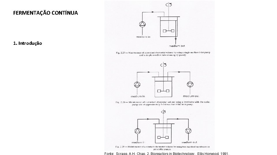 FERMENTAÇÃO CONTÍNUA 1. Introdução 