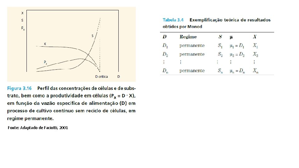 Fonte: Adaptado de Faciotti, 2001 