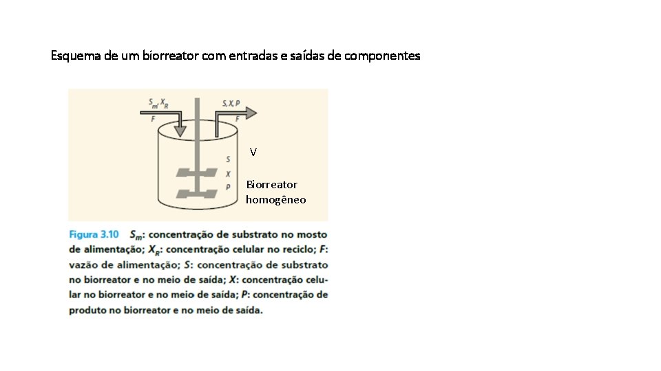 Esquema de um biorreator com entradas e saídas de componentes V Biorreator homogêneo 