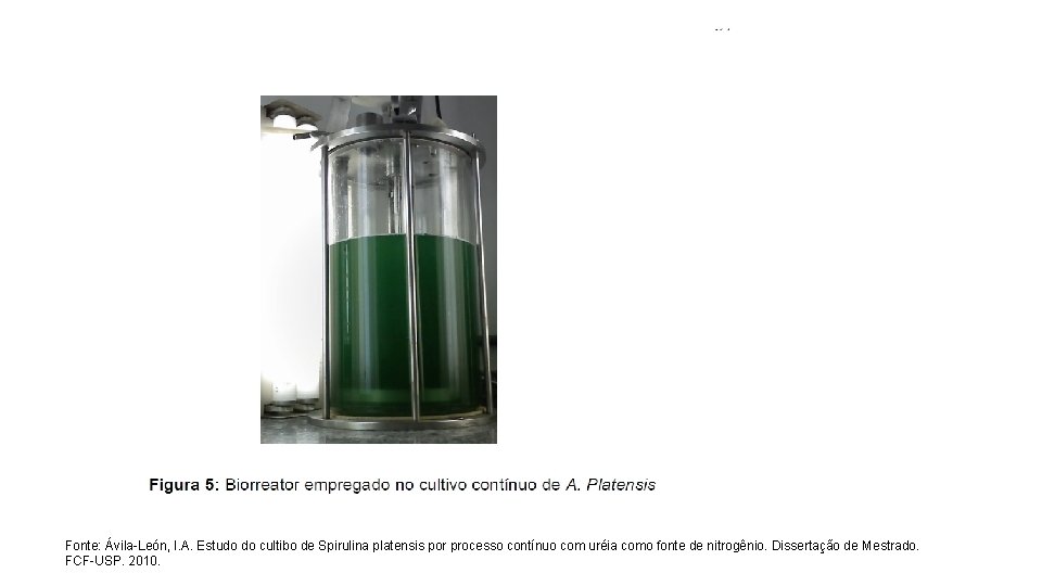 Fonte: Ávila-León, I. A. Estudo do cultibo de Spirulina platensis por processo contínuo com