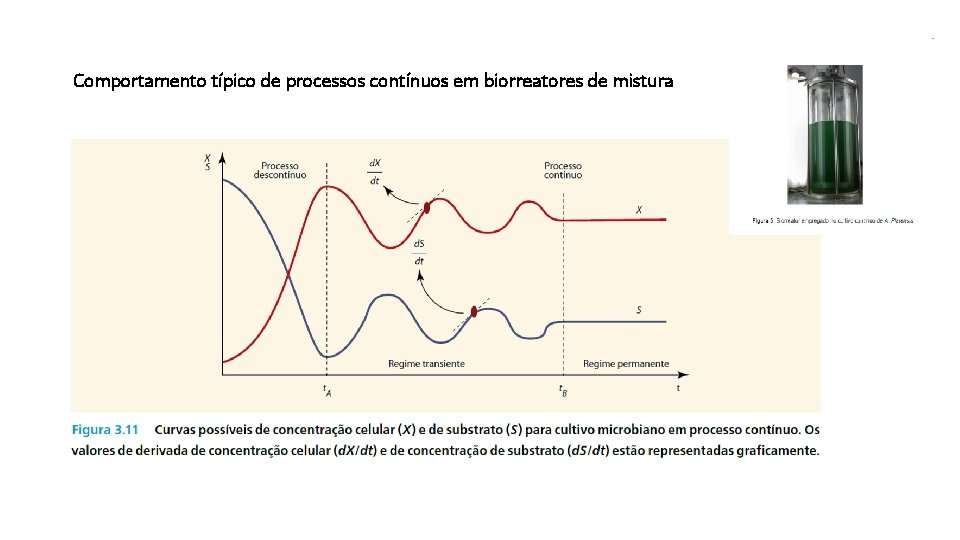 Comportamento típico de processos contínuos em biorreatores de mistura 